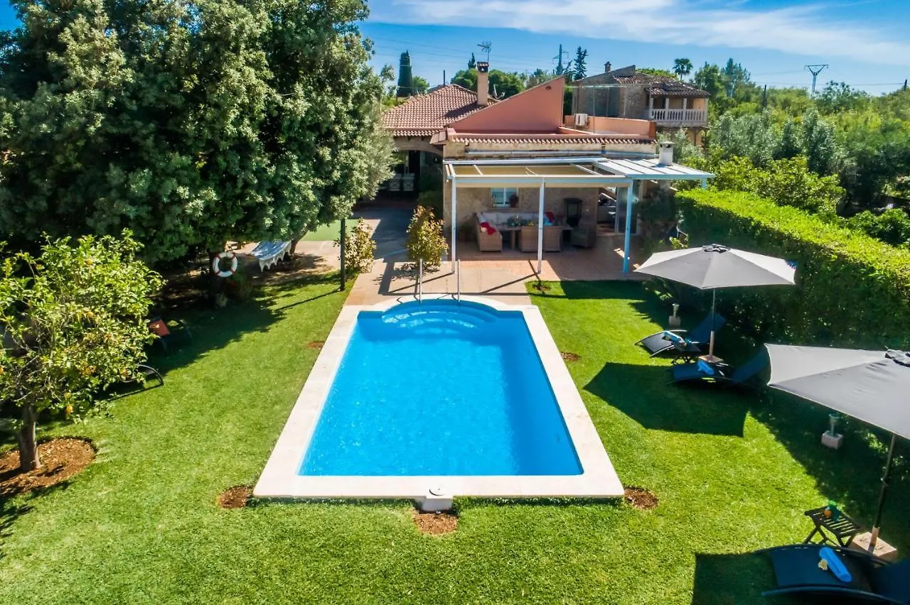 Ideal Property Mallorca - Finca Alegre Lloseta Lantställe